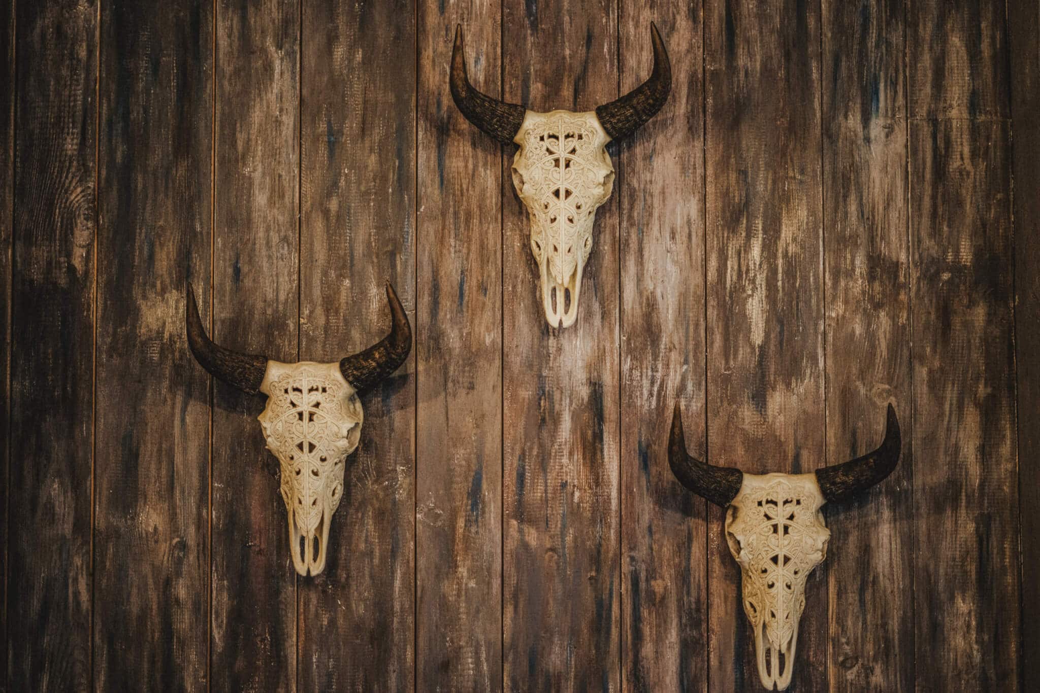 Leistungen Altholz Wanverkleidung mit Jagdtrophäen von Afrika